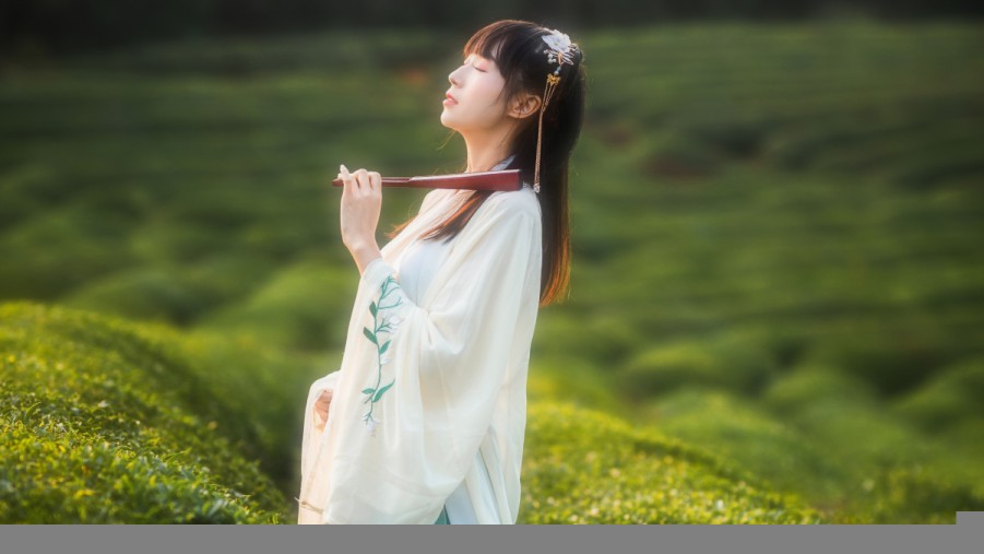 长沙SEO公司：助您的网站在互联网上脱颖而出