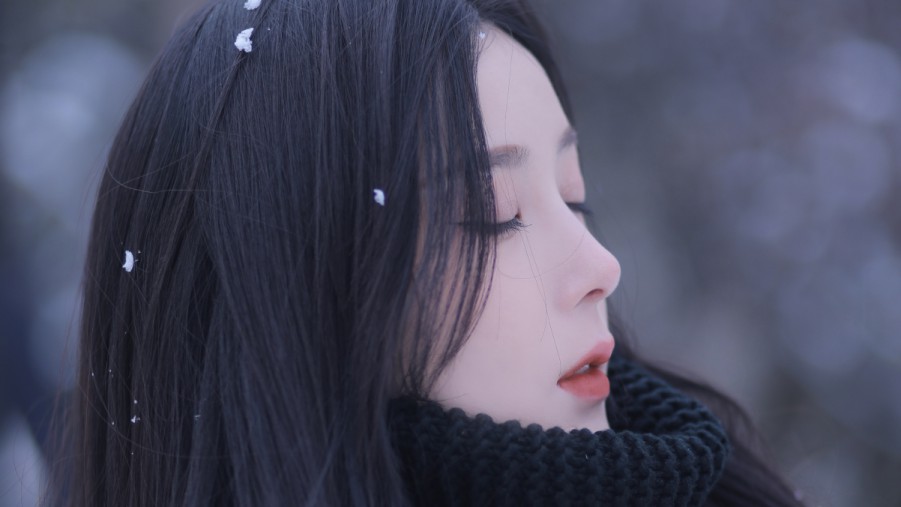 探索北京SEO网站优化公司的成功之路