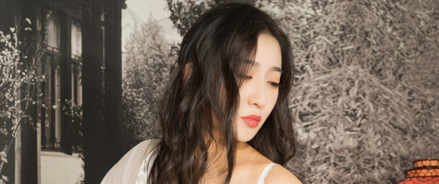 新手如何选择seo站群蜘蛛池